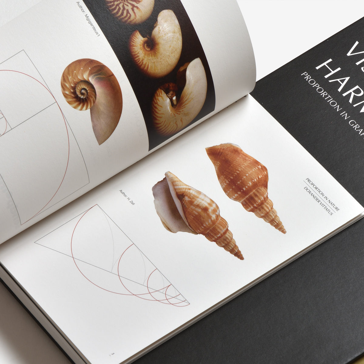 Graphic Design Color Proportion Example Visual Harmony: Proportion in Graphic Design | Graphic Design Books ...