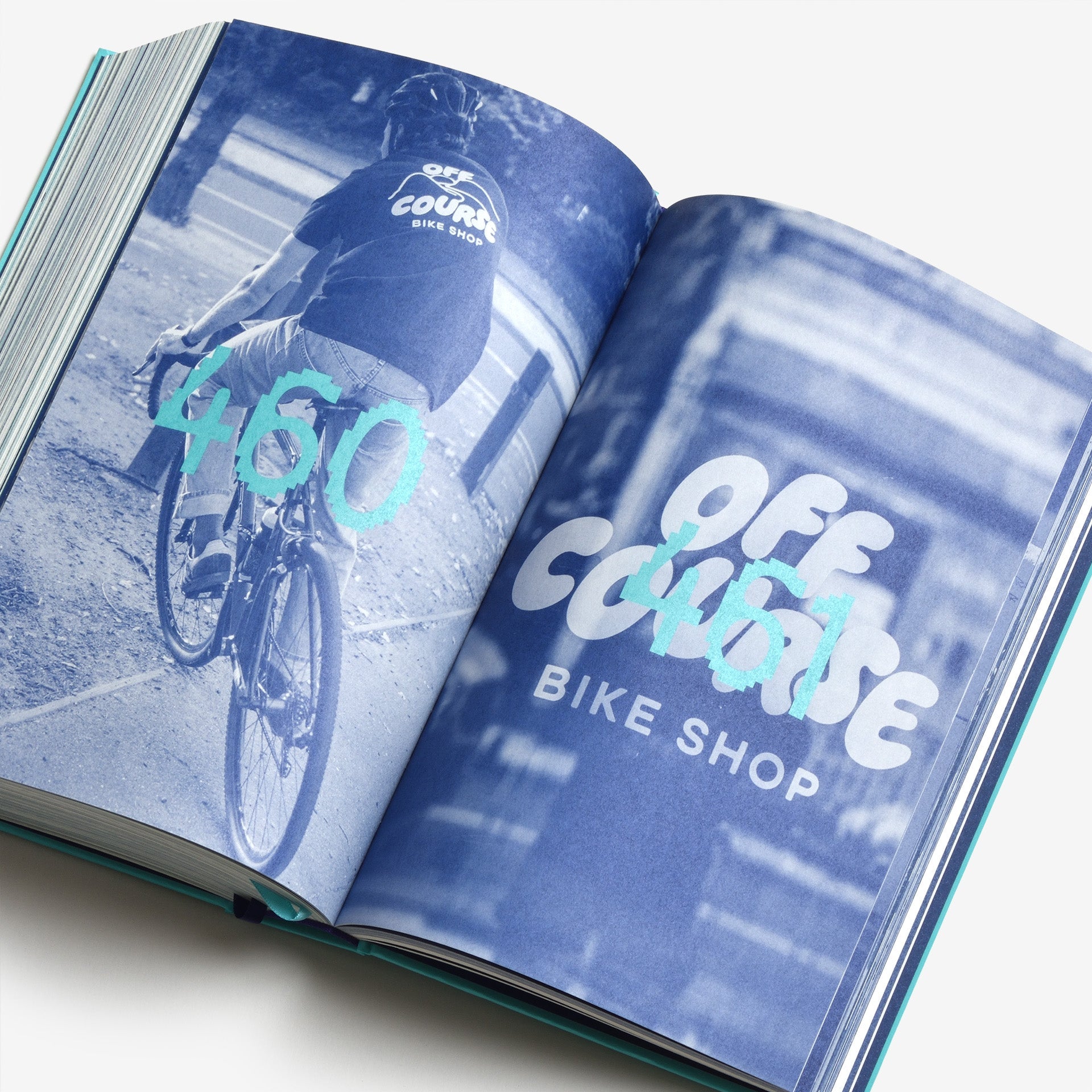 Display in Use: A Collection of Display Typefaces