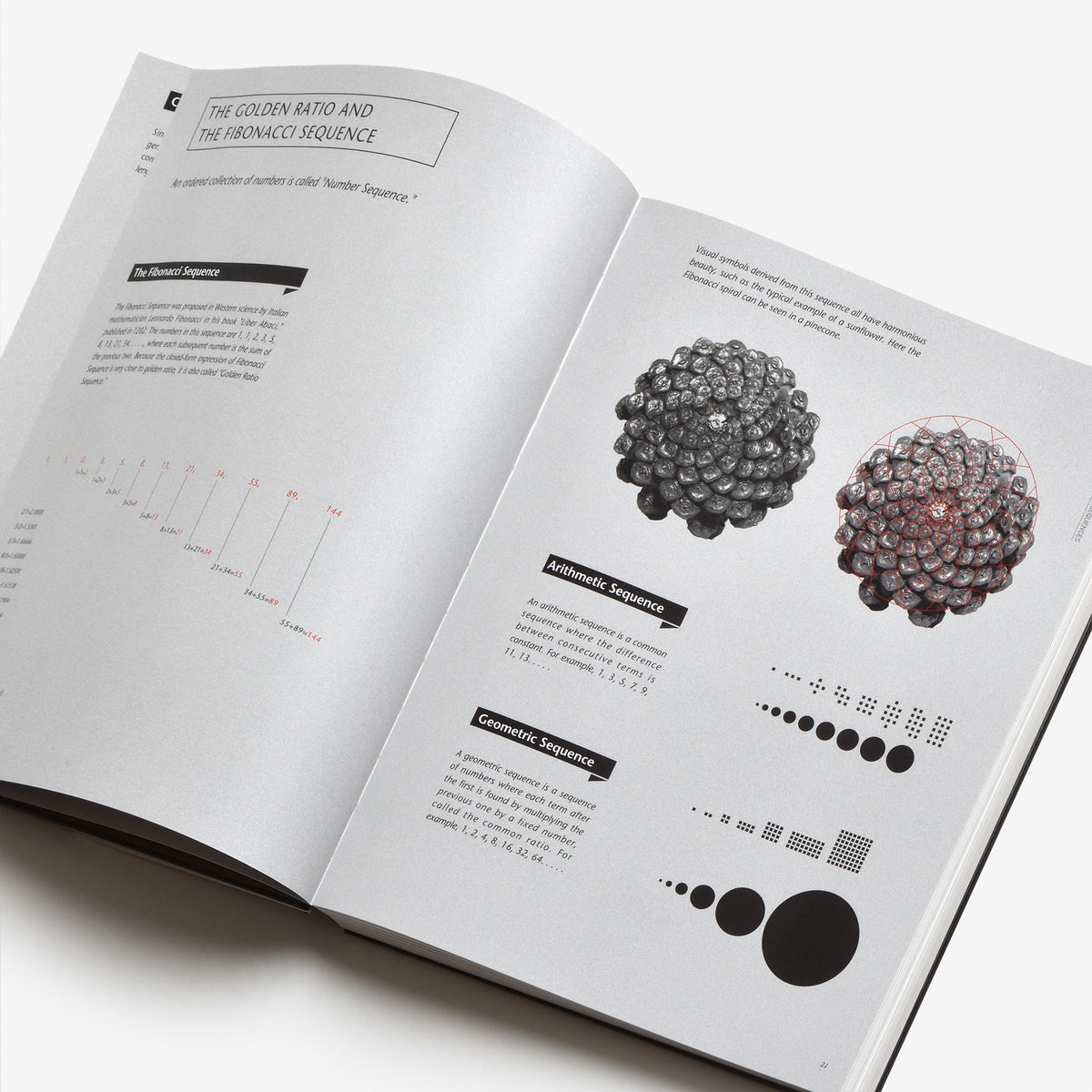 Graphic Design Color Proportion Example Visual Harmony: Proportion in Graphic Design | Graphic Design Books ...