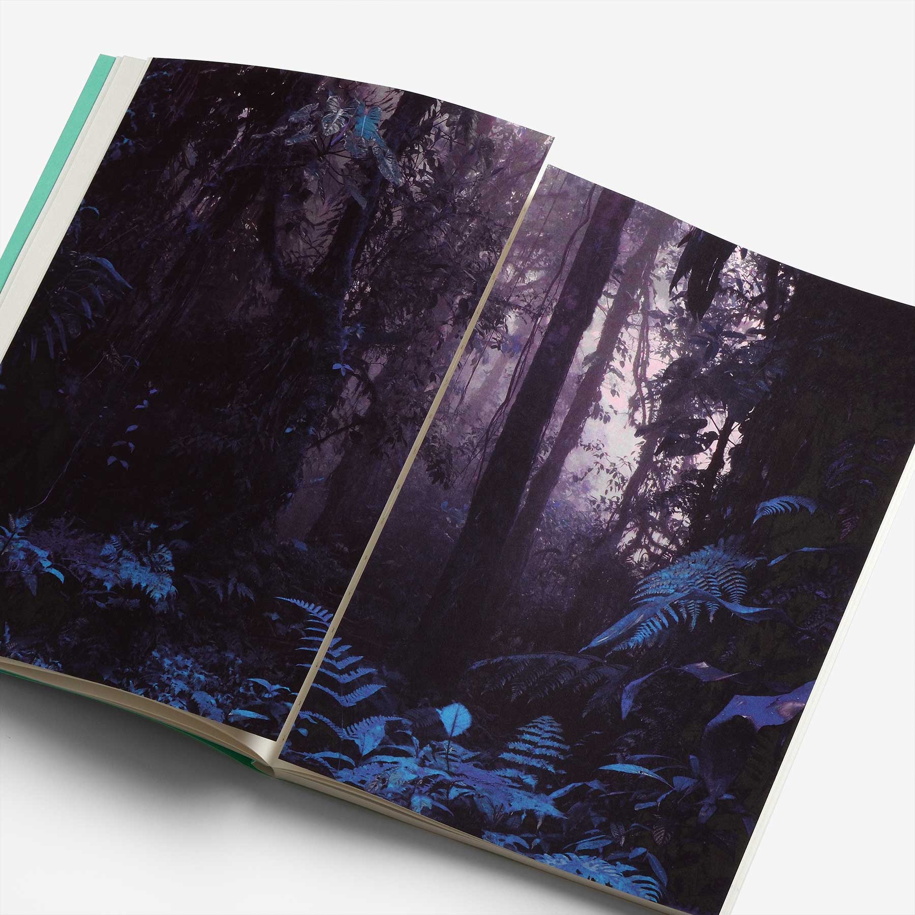 The King His Court The Explorer The Gift Graphic Design Books The King His Court The Explorer The Gift Graphic Design Books