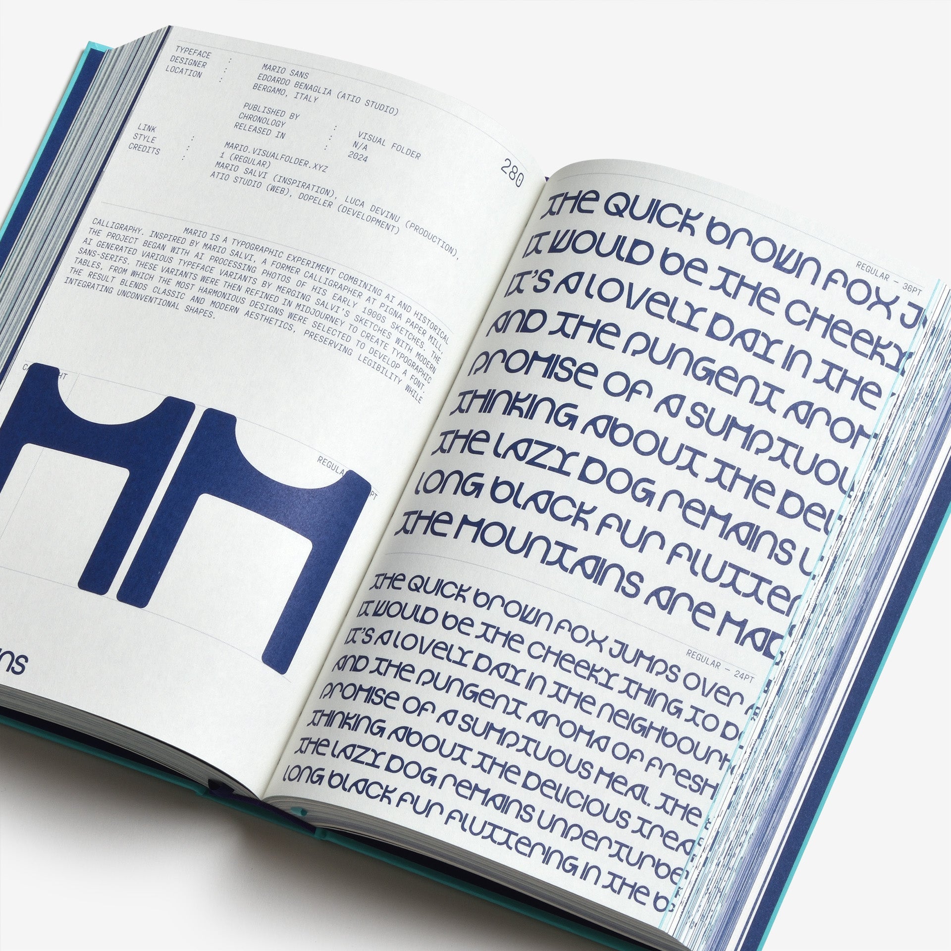 Display in Use: A Collection of Display Typefaces