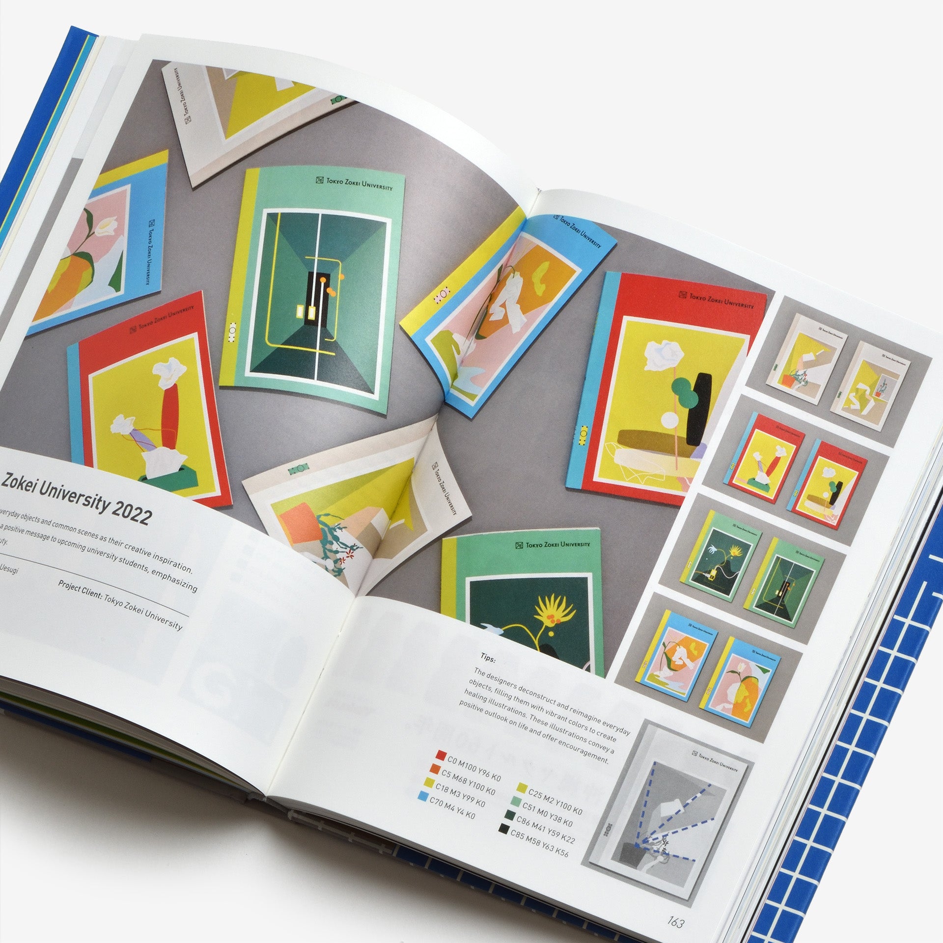 Japanese Illustration