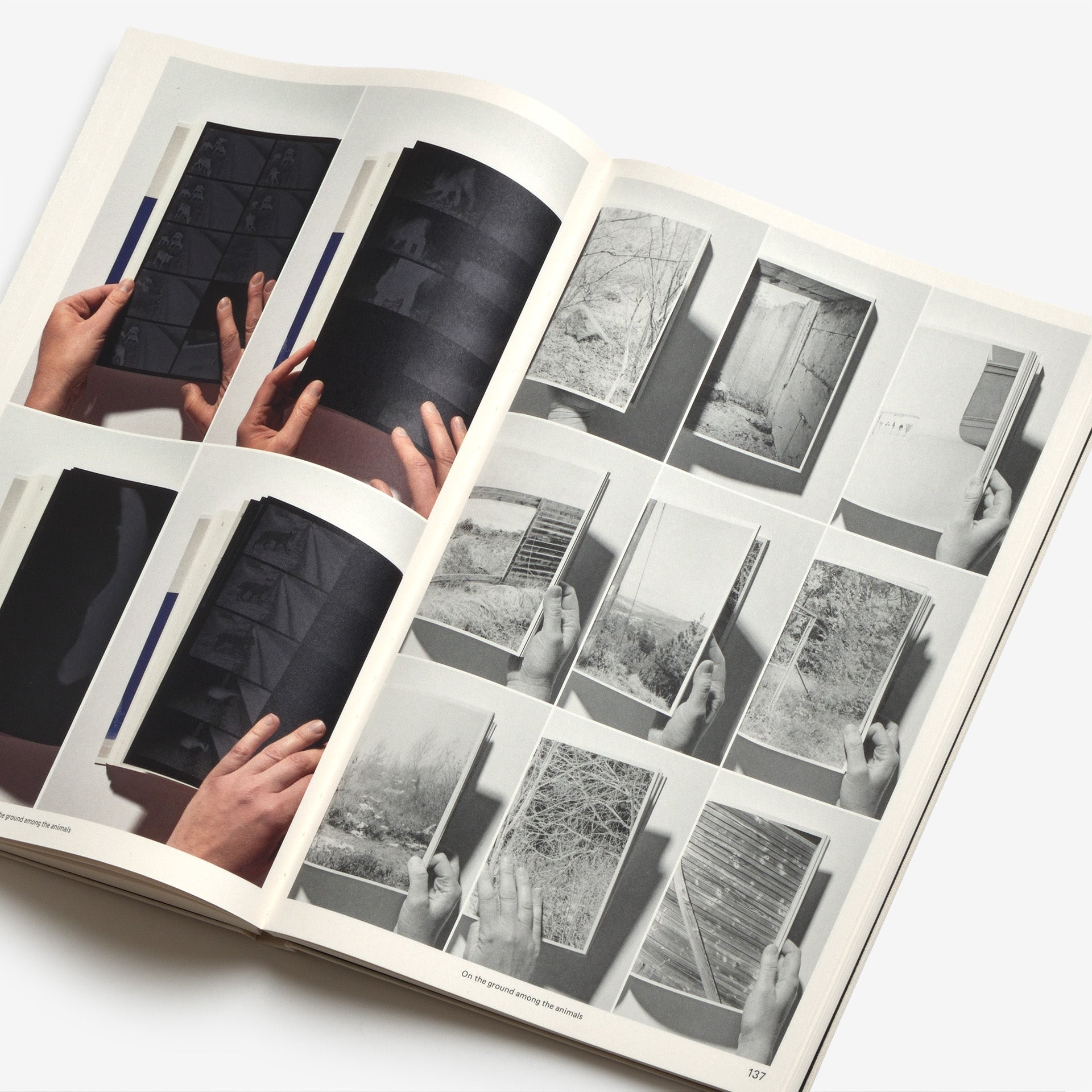 The Best Dutch Book Designs 2024 | Graphic Design Books curated by