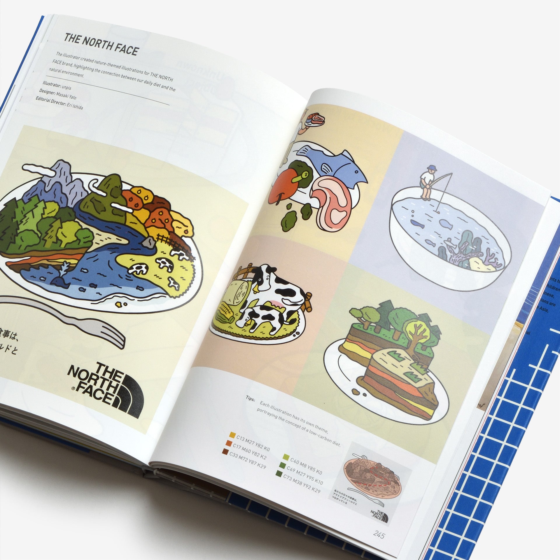 Japanese Illustration